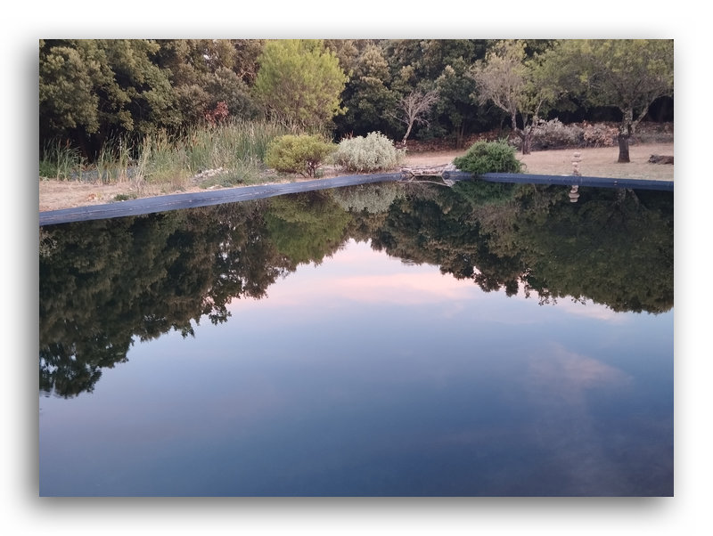 reflet de nuages roses dans le bassin de nage
