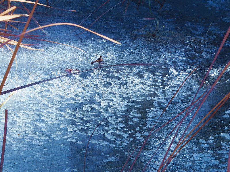 graphisme de glace sur bassin