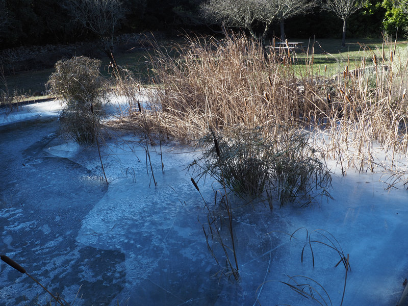 graphisme de glace sur bassin